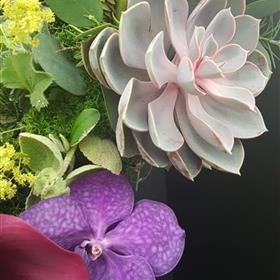 fwthumbRHS Jasmine Rays Florist 0024.jpg